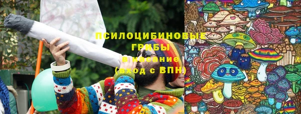 бошки Лагань