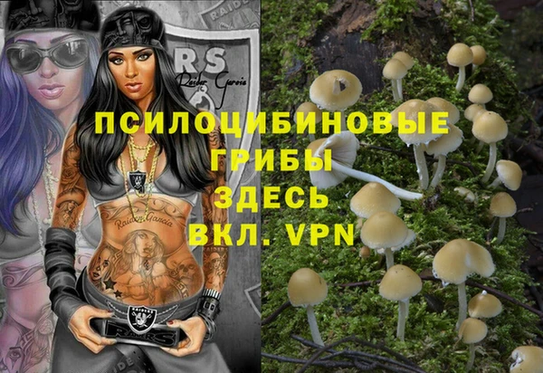 бошки Лагань