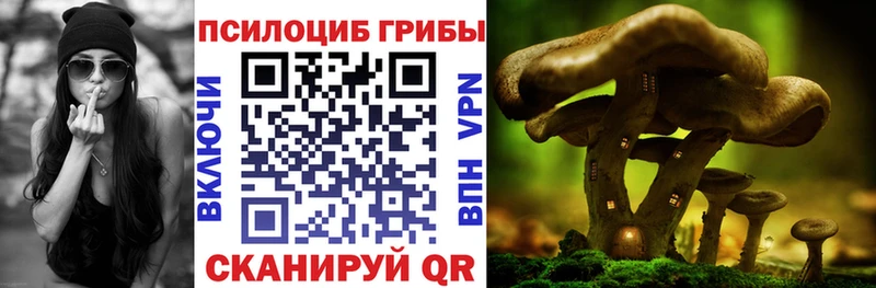 Псилоцибиновые грибы Magic Shrooms  Купить закладки  Ардатов 